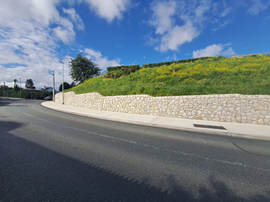 Ashford to New Developments